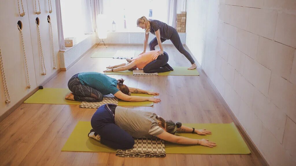 йога с собаками спб. занятия с собакой. картинка мопс занимается йогой. собака мордой вверх балтийская жемчужина. йога с собаками спб.