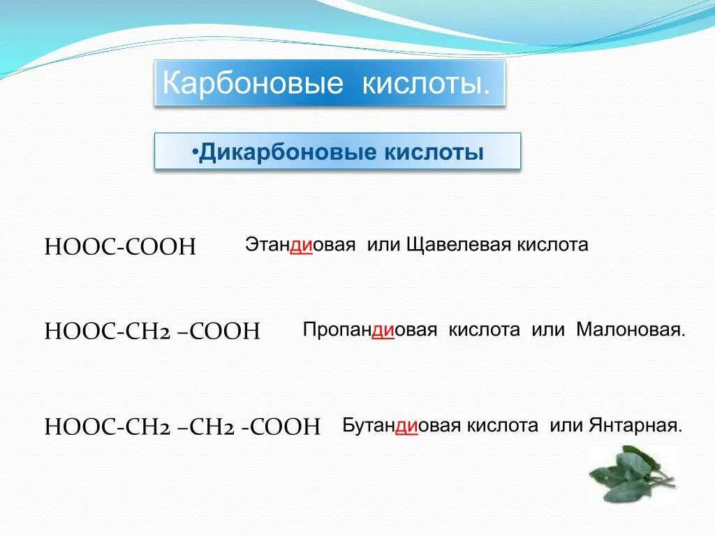 Hooc ch. Hooc-ch2-ch2-Cooh название кислоты. Ch2 Ch Cooh кислота. Hooc-ch2-ch2-ch2-Cooh. Hooc ch2 3cooh формула.