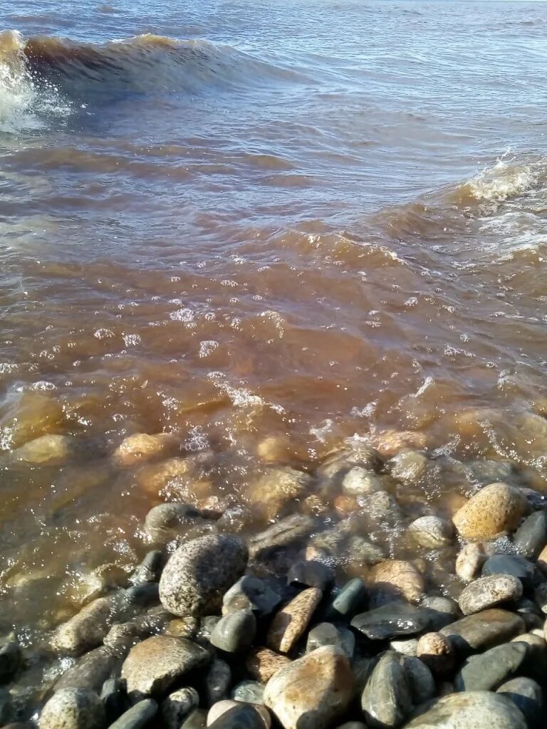 Мишиха Байкал. Речка Мишиха Байкал. Байкал цвет воды. Байкал летом вода.