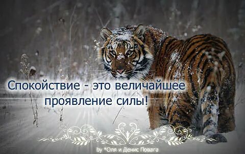Спокойствие величайшее