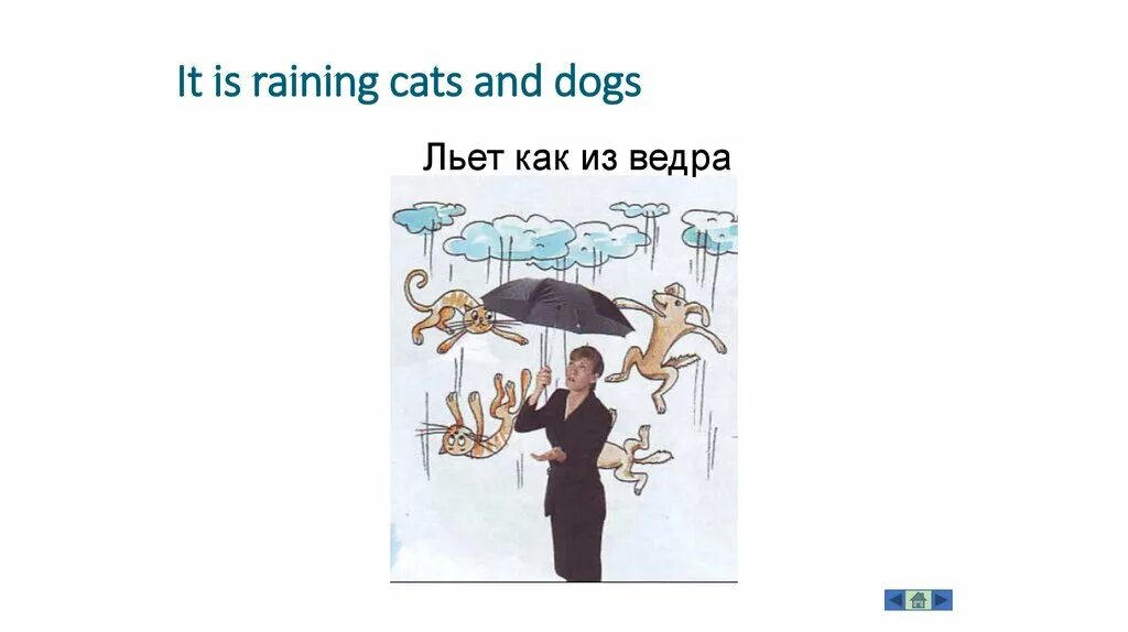 Дождь льет как из ведра запятая. “It’s raining Cats and Dogs”,льёт как из ведра. Идиома it's raining Cats and Dogs. Льет как из ведра. Льёт как из ведра на английском идиома.