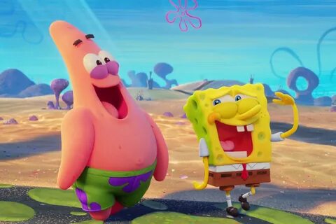 Sponges spongebob