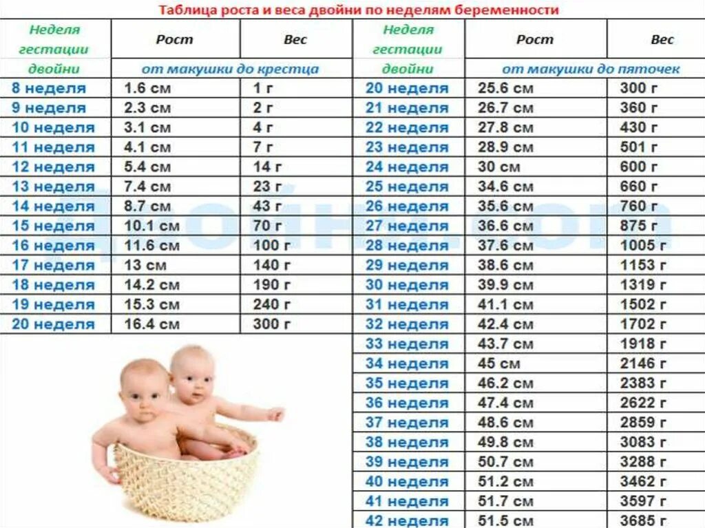 В скольких месяцах 29. Вес плода в 36 недель беременности норма таблица. Вес плода в 20 недель беременности норма таблица. Вес ребёнка в 30 недель беременности норма таблица по неделям. Вес детей по неделям беременности двойня.