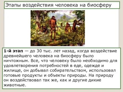 Этапы воздействия человека