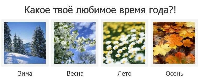 Любимое время года. Месяца зима осень.