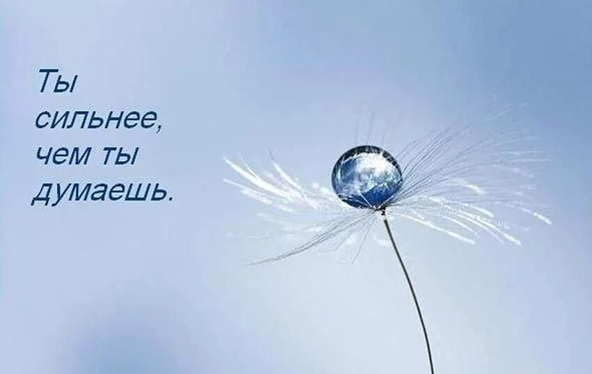 Какие именно мысли. Мотиватор. мысль дня. мысли на каждый день. приятные мысли.