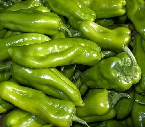 Зеленые перцы дозревание дома фото Продам перец купить в Кургане, цена 37 руб., продано 8 сентября 2018 Продукт