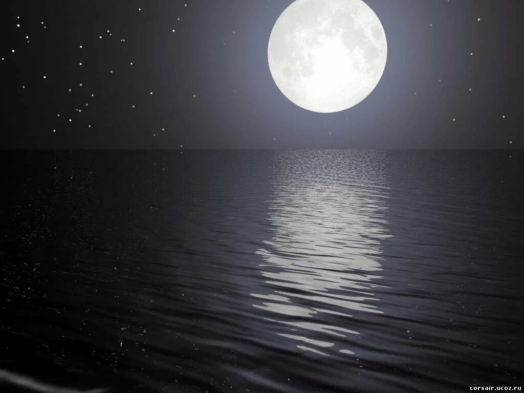 Любэ ты неси меня река табы. Слова песни ты неси меня река. Ночь луна одиночество. А река течет любэ для гитары табы. Песня ты неси меня река любэ слова.