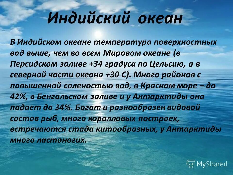 Океан доклад 6 класс