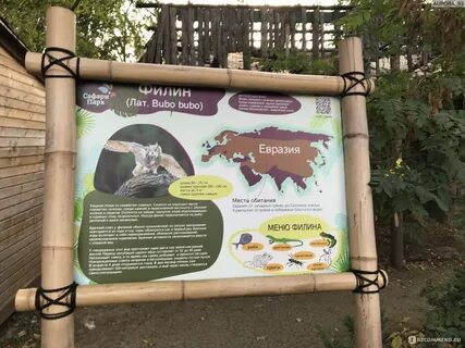 Сафари парк билеты