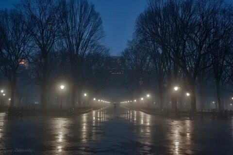 Empty rain