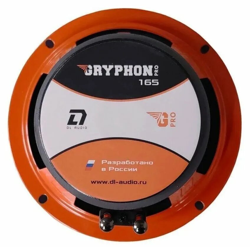 Грифон про 165 динамики. Динамик dl audio gryphon pro 165 se. Эстрадный сабвуфер динамики dl audio bass test. Gryphon pro 165 размеры. Колонки gryphon pro 165.