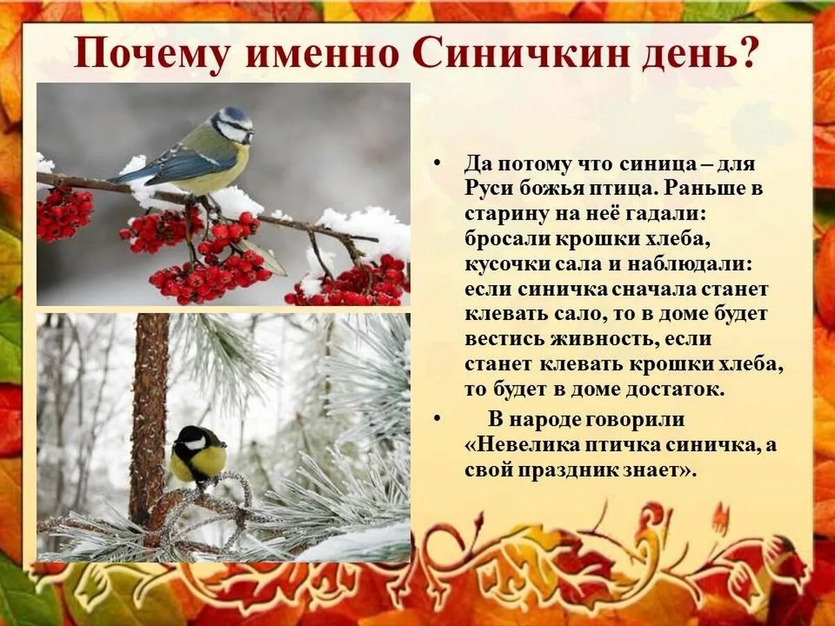 Беседа синичкин день. Синичкин день. день синички. праздник синичкин день. синичкин день в детском саду.