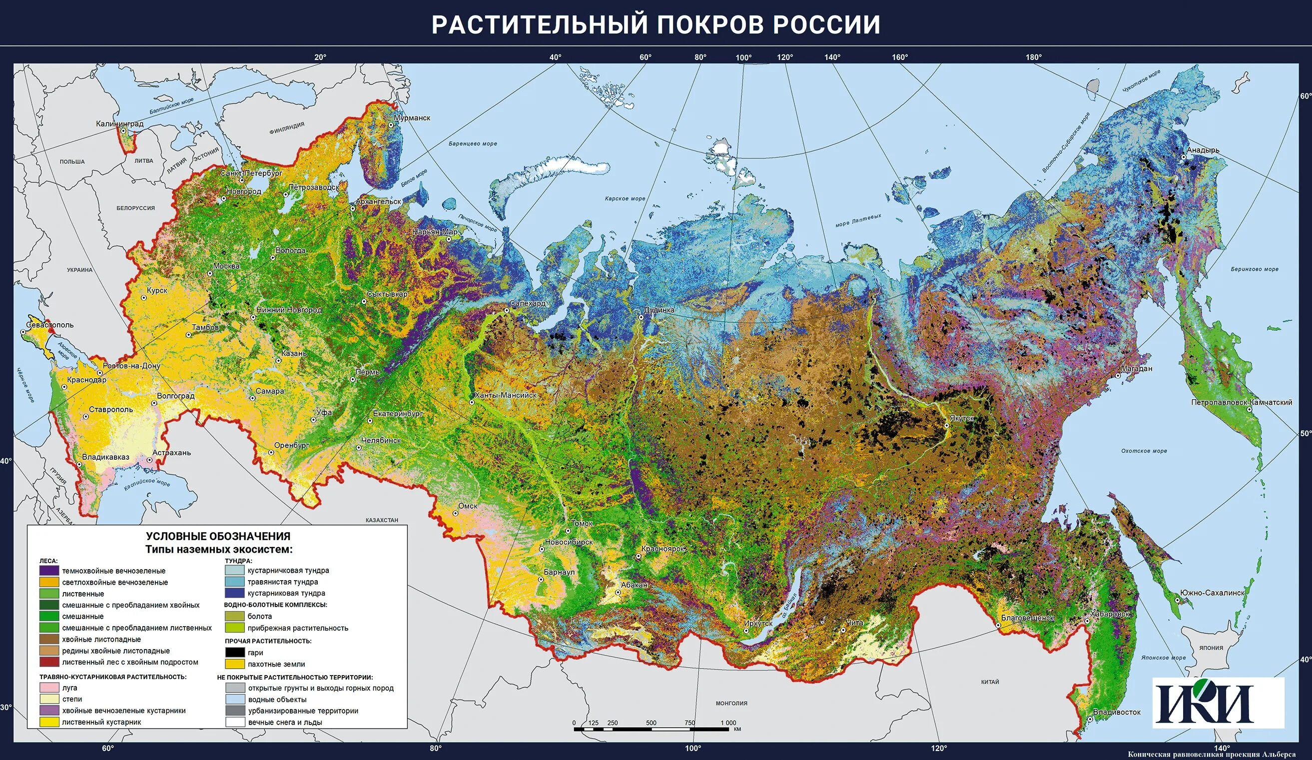 Растительная карта россии. Карта растительности РФ. Карта растительного Покрова России. Карта растительности России атлас. Типы растительности на карте.