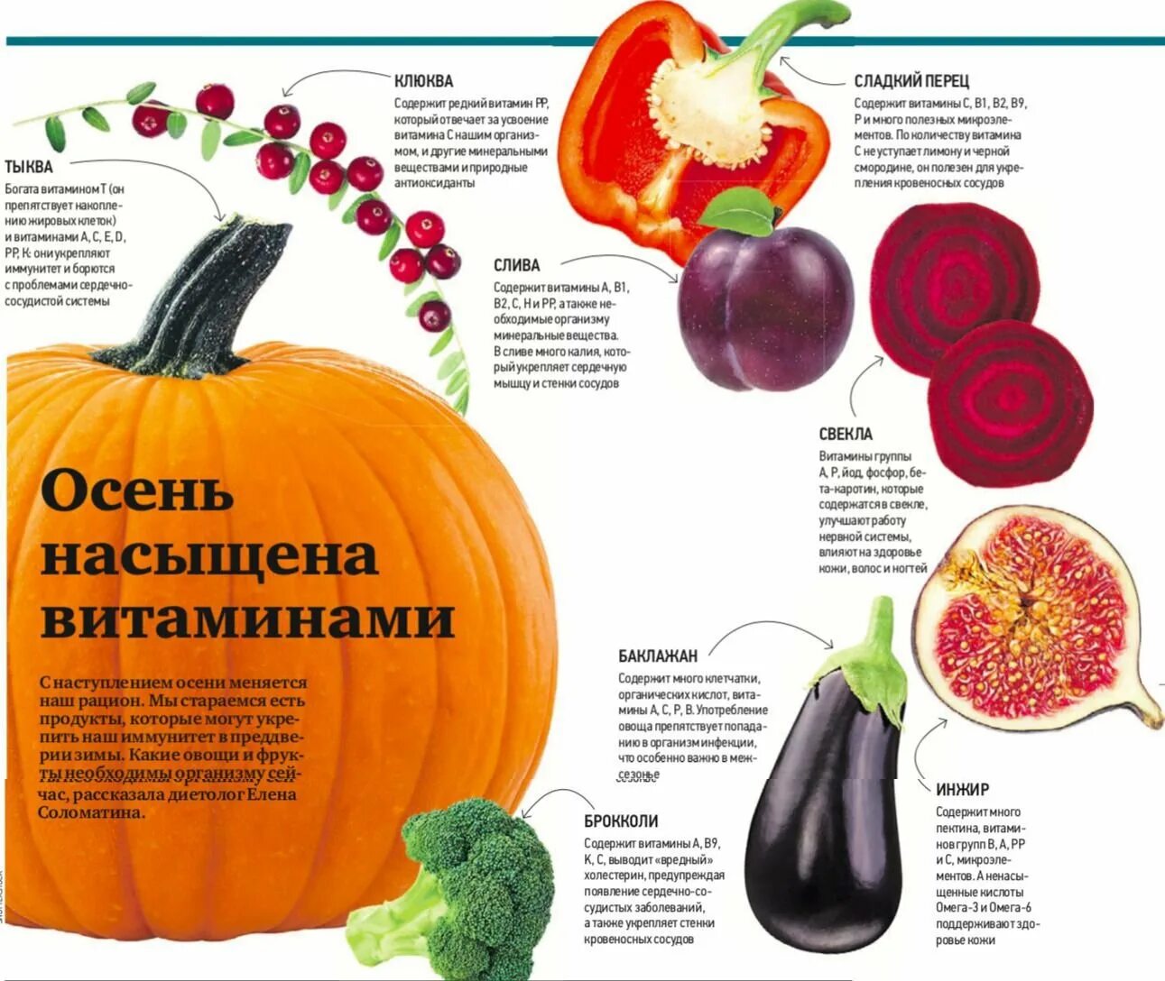 Овощи и фрукты витаминные продукты презентация. Овощи и фрукты. Витамины в овощах и фруктах. Овощи и фрукты витаминные продукты. Витамины в овощах и фруктах.