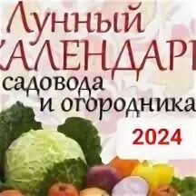 Лунный календарь садовода-огородника 2024. Сад, огород, - купить с доставкой по 