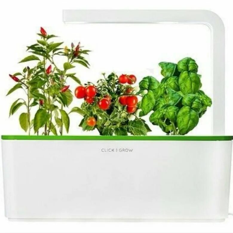 Red rsg 01 умный. Умный сад click and grow. click and grow картридж. умный сад для выращивания растений. электронная грядка.