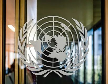 Организация по правам человека