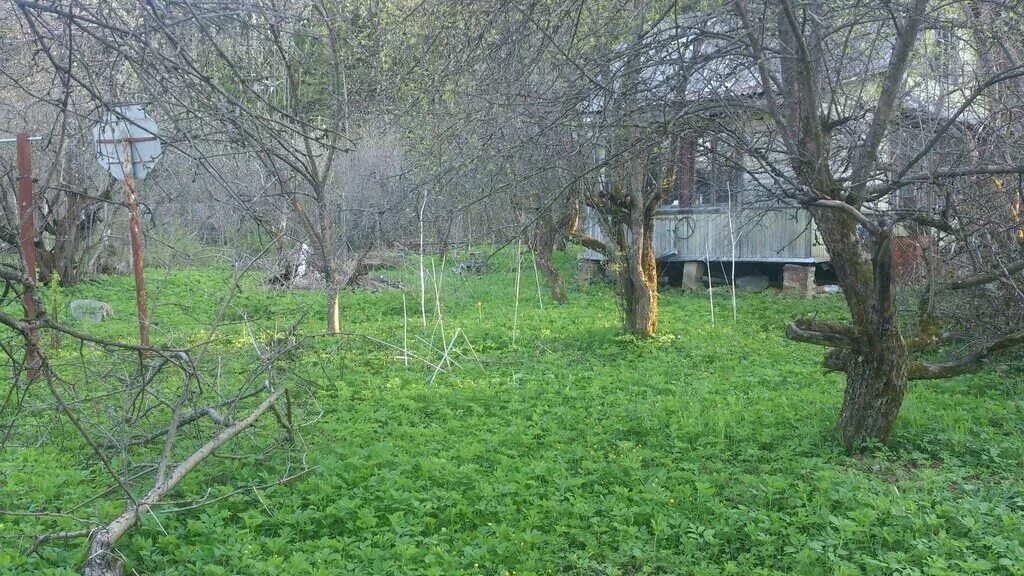 Паводки в ялуторовском районе. Погода на неделю в петелино. Снт кулон 2. Снт петелино гарь-покровское. Погода на неделю в петелино.