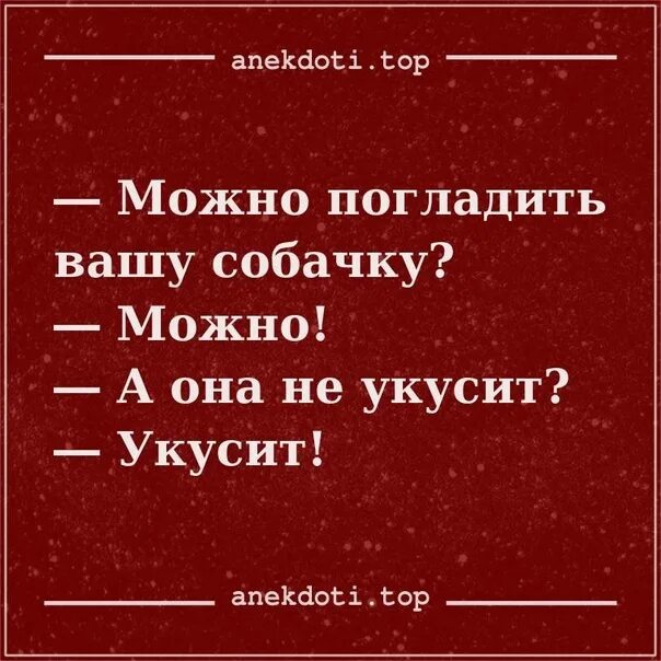 Фото сет ФУТИ, на новых сидениях из кожи ! И немного о кошках, в картинках=) - D