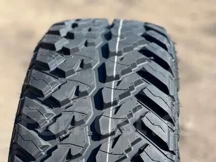 Arivo rock trak
