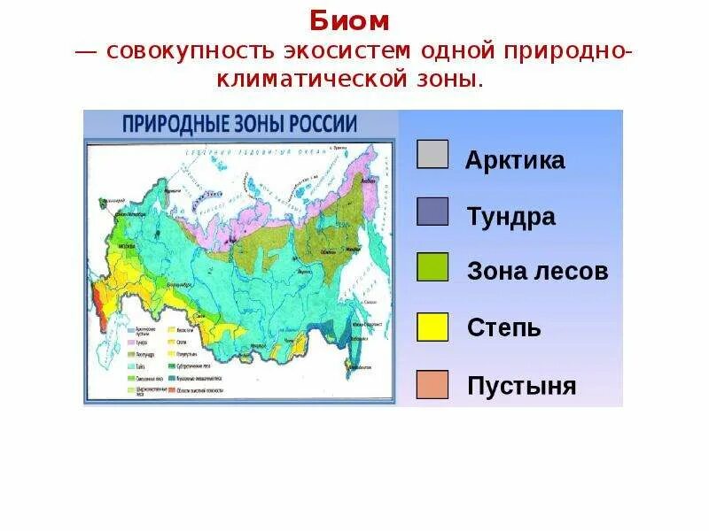 Биомы суши. Климатические зоны и биомы схема. Природно-климатические зоны биом. Карта биомов России. Климатические зоны природные зоны.