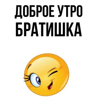 Привет большому брату