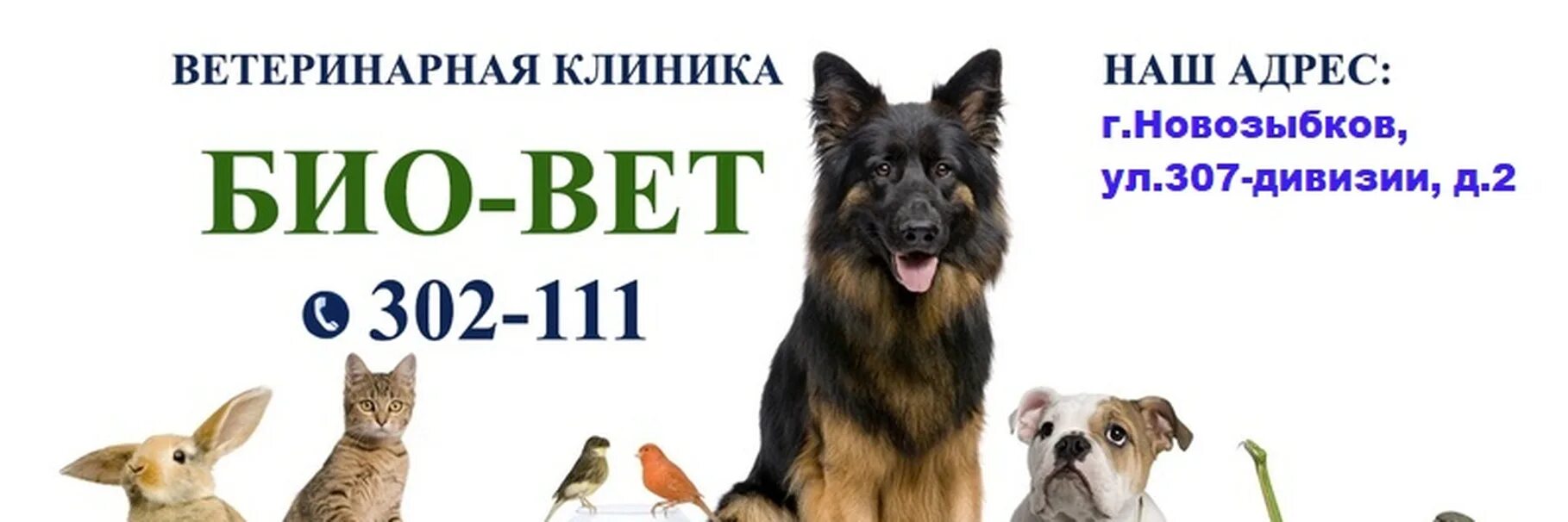 Биовет новозыбков. Логотипы ветклиник. Биовет печатники. Биовет. Био-вет ветклиника.