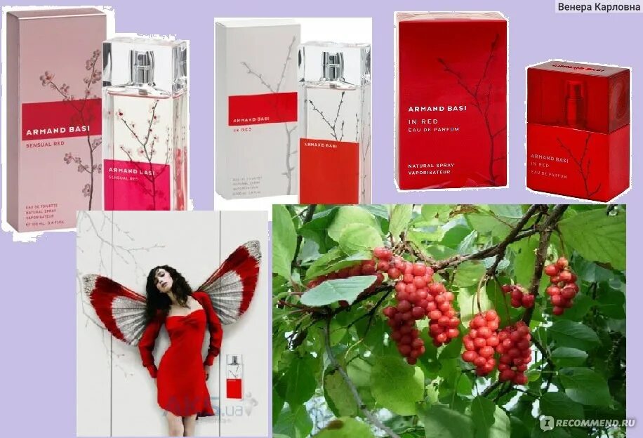 Armand basi uniform don t look. Armand basi in red lady 30ml edt. armand basi in red armand basi. n red edp armand basi. armand basi in red 100ml реклама.