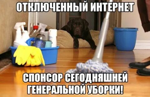 Не сможет принять участие в связи