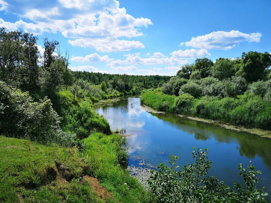 Река Шоша Марийские Лесоходы
