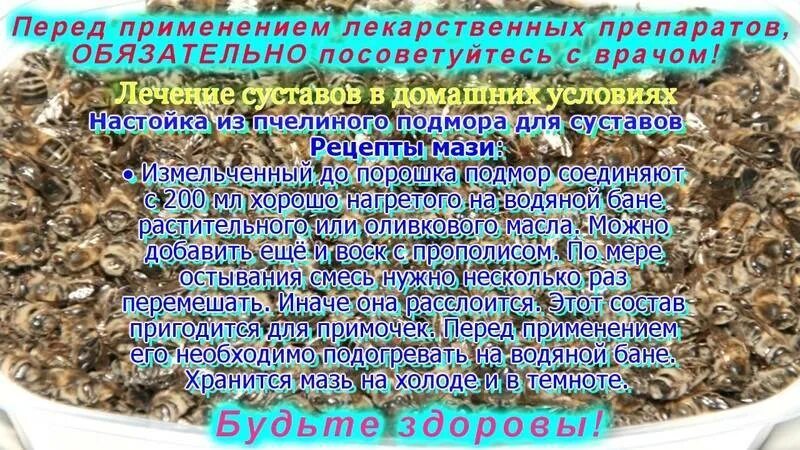 Рецепты от аденомы. Настойка пчелиный подмор пчела. рецепты из пчелиного подмора. пчелиный подмор отвар. пчелиный подмор для суставов на спирту.