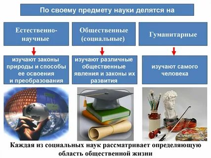 Гуманитарная отрасль