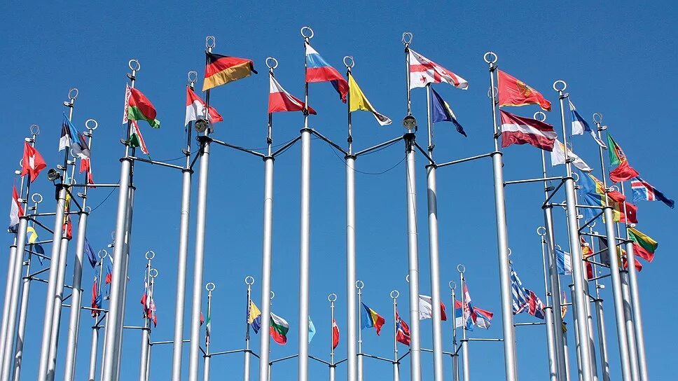 Новая торговая организация. ВТО. Конвенция международной организации. Флаги стран на конференции. ВТО флаг.