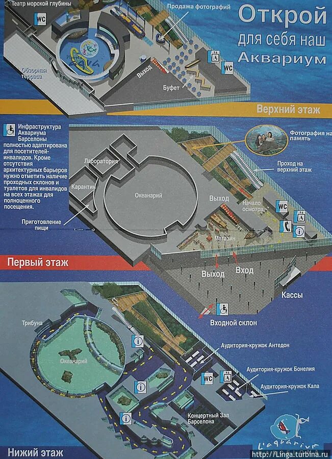 Океанариум схема. План океанариума в Санкт-Петербурге. Океанариум СПБ план. План океанариума. Океанариум Санкт-Петербург на карте.