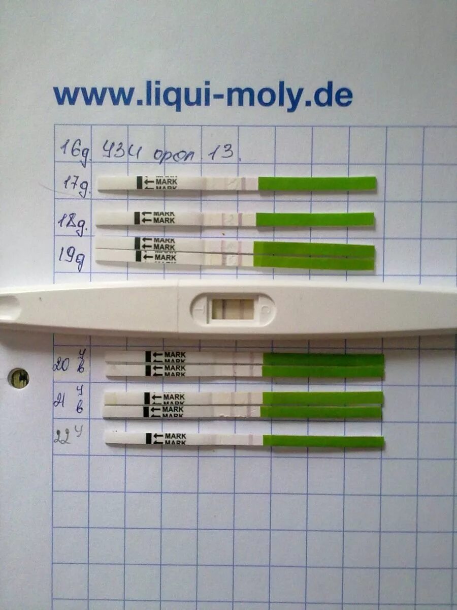 Днем делают тест. Тест после зачатия. Тесты после оплодотворения. Тест на беременность через. Тест на овуляцию до задержки.