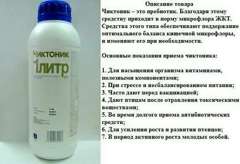 Чик тоник