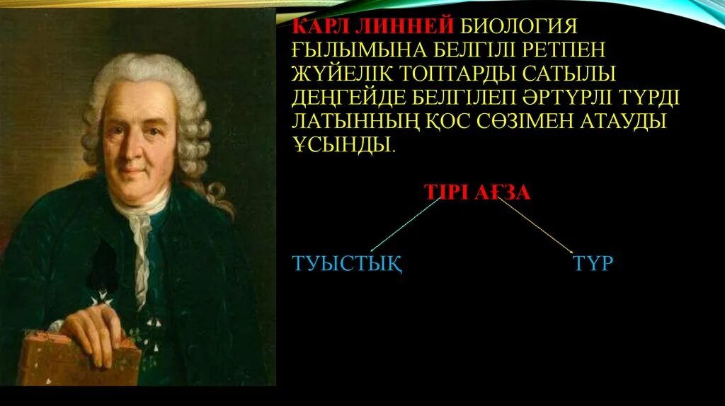 Линней дал видам латинские названия. Карл линней. линней биология. карл линней биология. карл линней фото.
