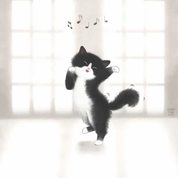 Танцующие котики гиф. Танцующие коты. Котенок танцует. Танцующая кошка. Танцующий кот gif.