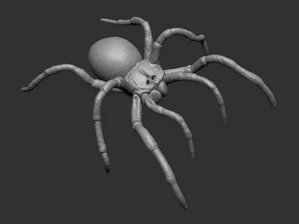 Spiders 3d