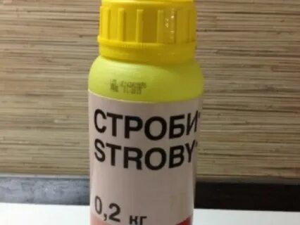 Стробь