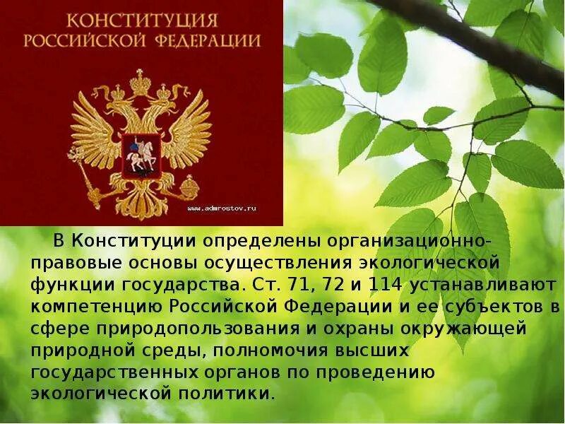 Правовые основы охраны окружающей среды. Конституционное экологическое право. Правовые основы природопользования и охраны окружающей среды. Конституция об охране окружающей среды.