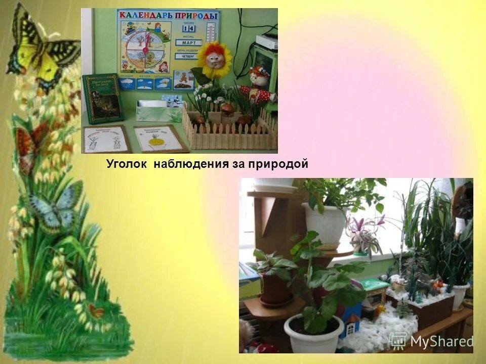 календарь наблюдений в детском саду. уголок наблюдения уголок природы. календарь природа в хорошем качестве. труд детей в уголке природы. уголок природы в младшей группе детского.