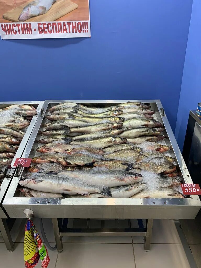 рыба карелии петрозаводск. рыба карелии петрозаводск. рыба карелии петрозаводск. рыбный магазины в карелии в петрозаводске. магазин рыбного магазина онеженка городе петрозаводске.