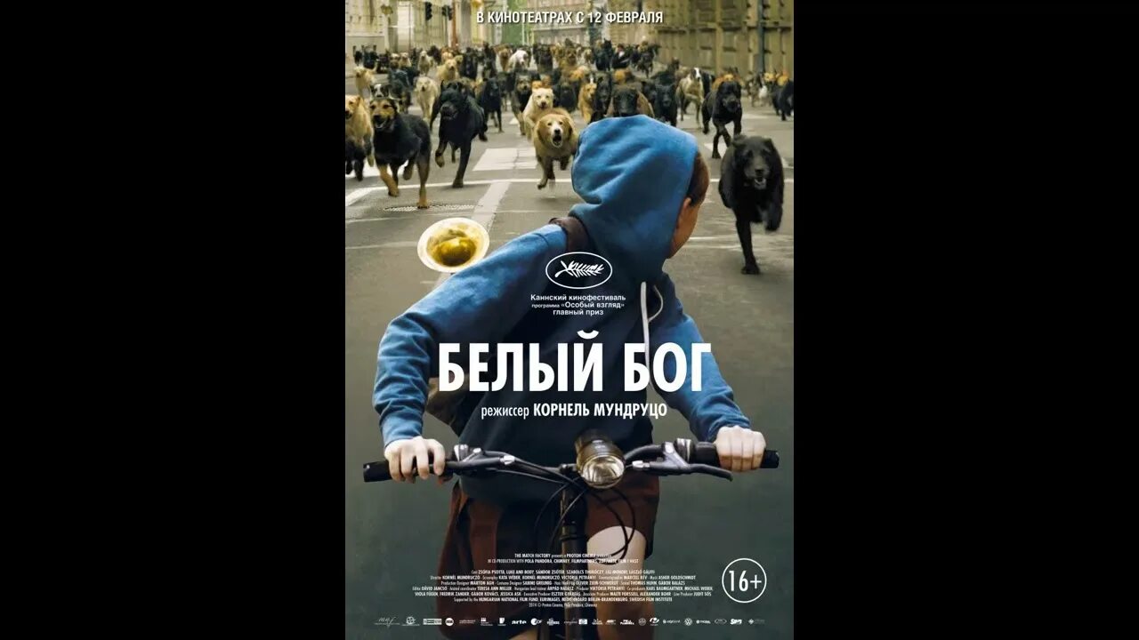 Feher isten фильм. Белый бог фильм 2014. Песня белый бог. Белый бог фильм. Белый бог фильм 2014.