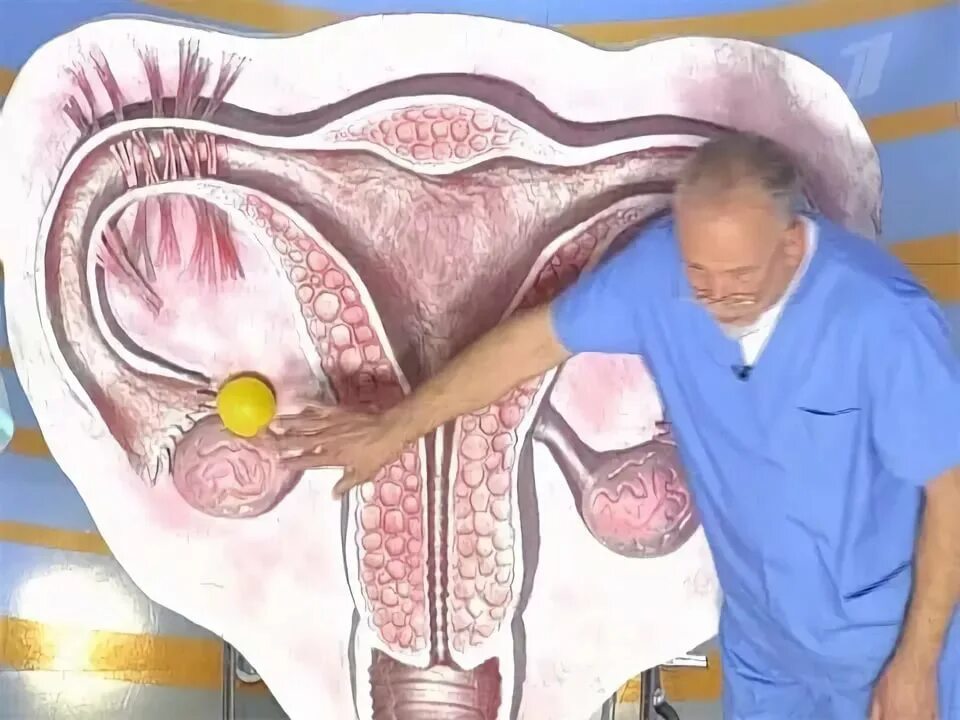 Почему увеличена матка после