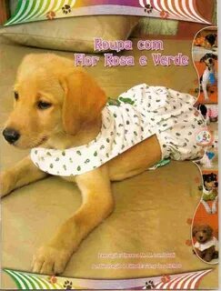 Pet 5 book