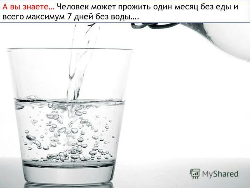 Сколько человек проживет без воды. Без воды человек может прожить. Без еды человек может прожить. Человек без еды не может прожить. Сколько человек сможет прожить без воды.