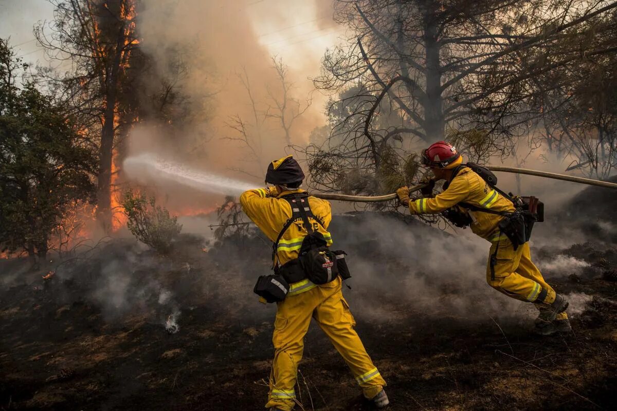 Вред пожарников. Пожарники тушат Лесной пожар. Тушение лесных пожаров. Пожарники в лесу. Борьба с лесными пожарами.