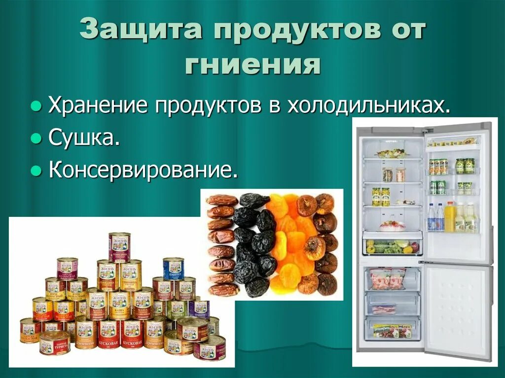 Для сохранения продуктов используют. Защита продуктов от бактерий. Способы защиты продуктов. Бактерии гниения и брожения. Защита продуктов от гниения.